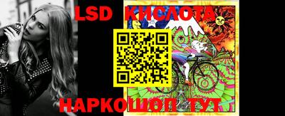 крисы Бийск