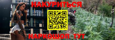 крисы Бийск