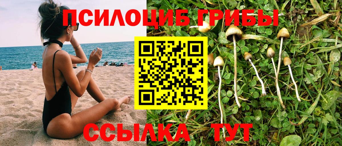 Зеленодольск  Галлюциногенные грибы Psilocybe  Вход с VPN 