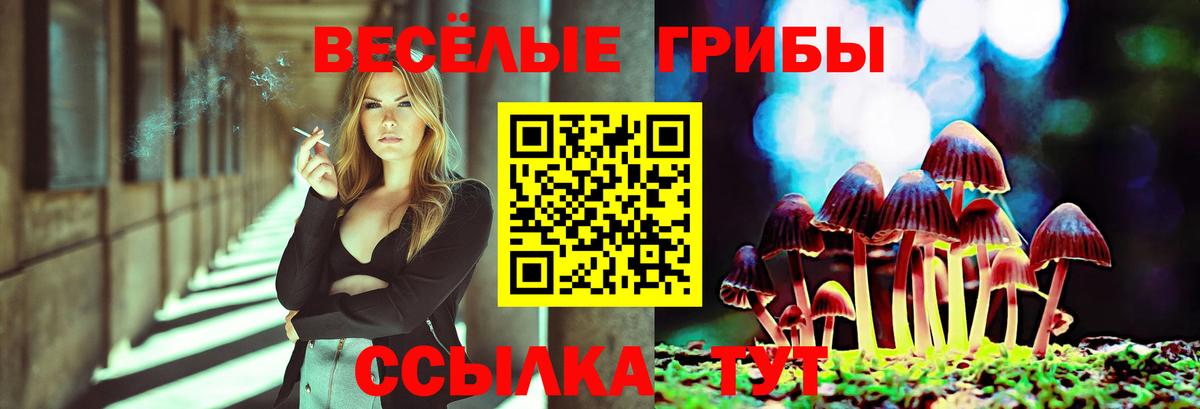 Псилоцибиновые грибы GOLDEN TEACHER Зеленодольск